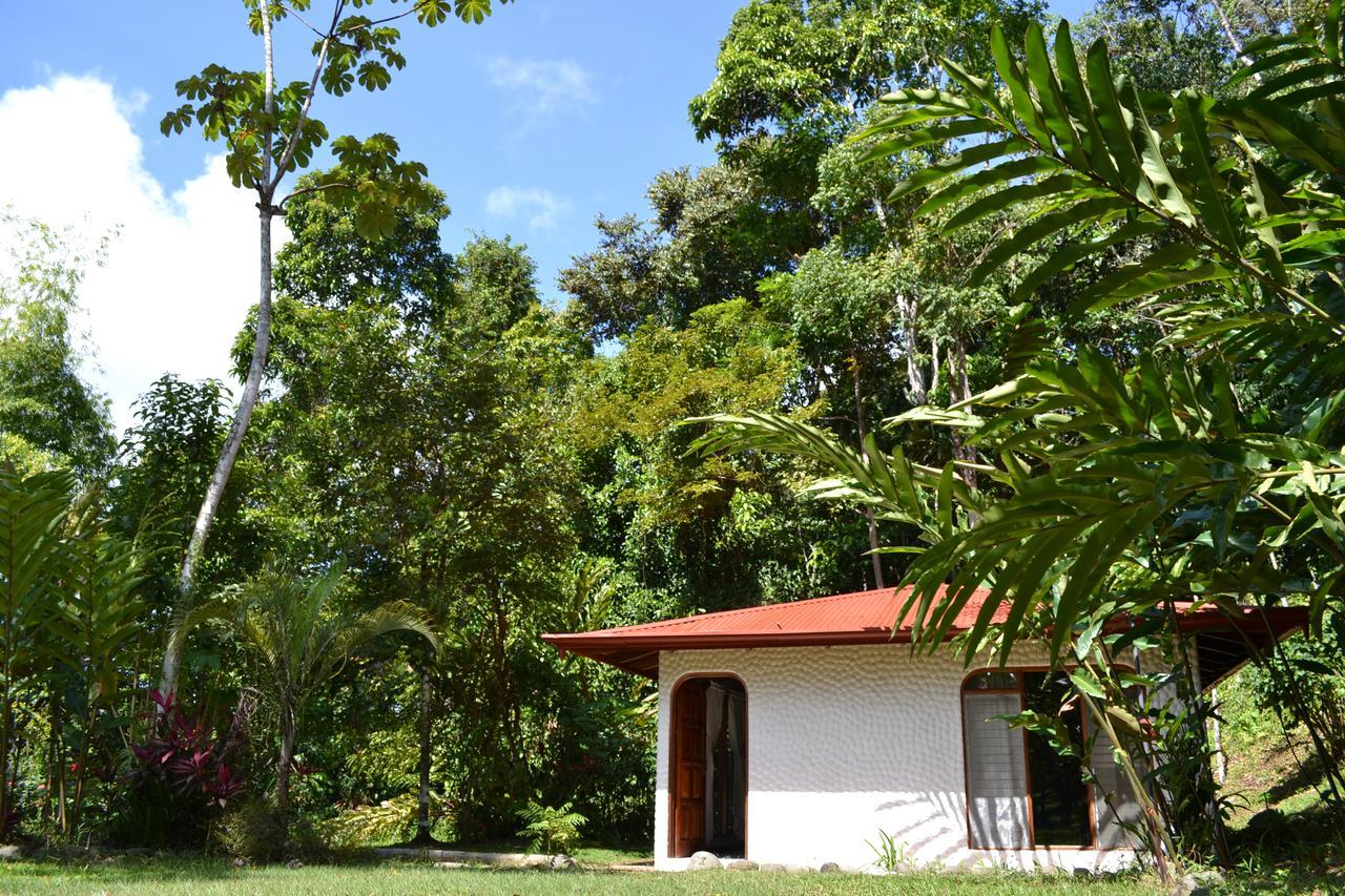 Natuga Ecolodge-Villas Dominical Baru Ruang foto