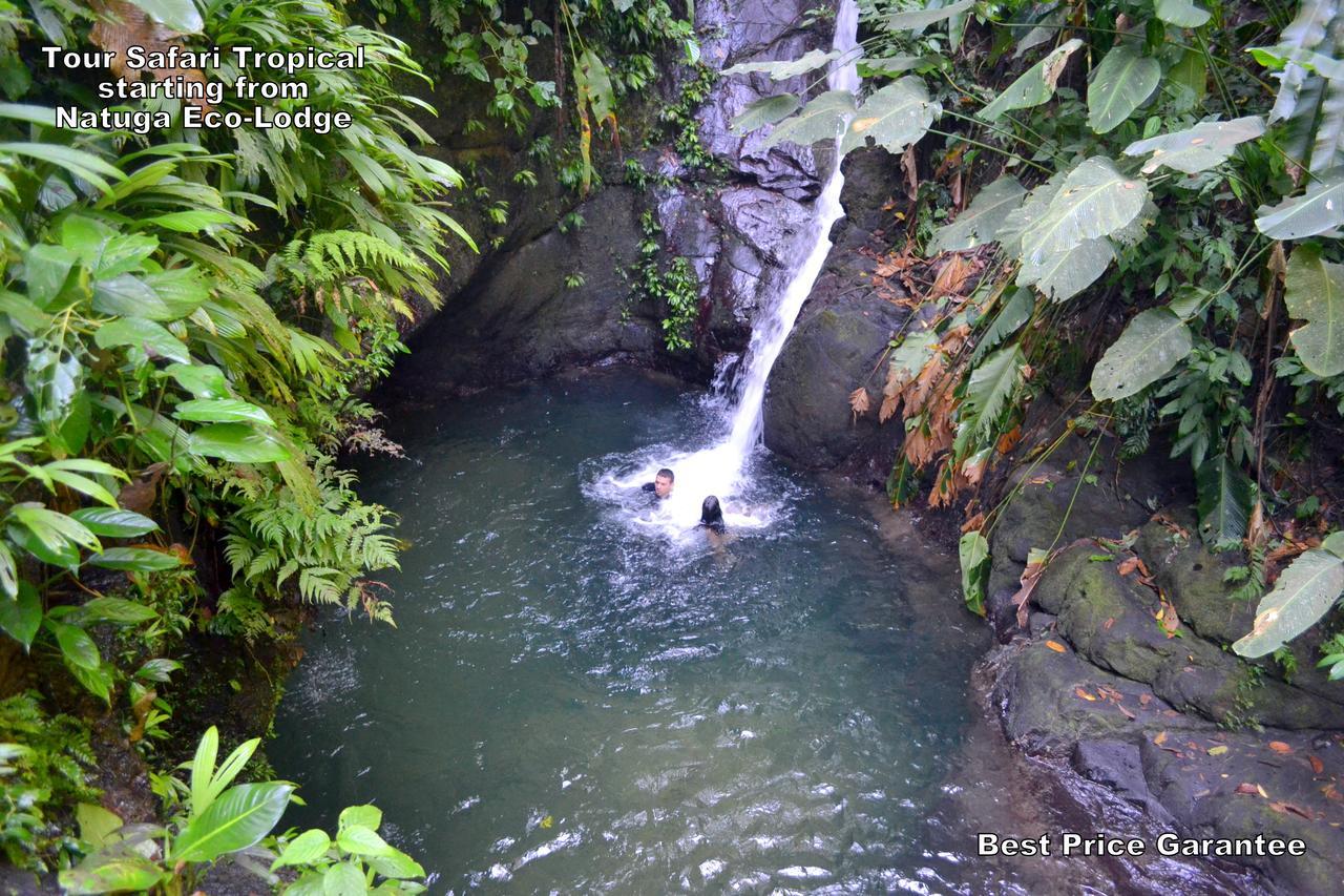 Natuga Ecolodge-Villas Dominical Baru Bagian luar foto